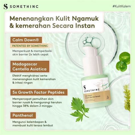 7 Manfaat Serum Somethinc and Harganya (Update 2024): Bikin Glowing Gak Bikin Kantong Bolong! 7 Manfaat Serum Somethinc and Harganya (Update 2024): Bikin Glowing Gak Bikin Kantong Bolong!