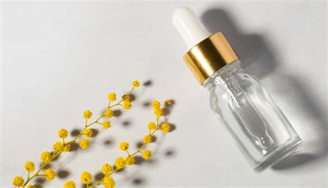 5 Skincare Anti-Aging Ampuh Cegah Penuaan Dini 5 Skincare Anti-Aging Ampuh Cegah Penuaan Dini